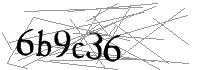 Visual Verification