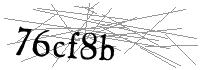Visual Verification