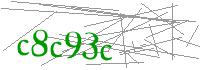 Visual Verification