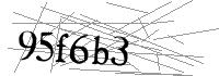 Visual Verification