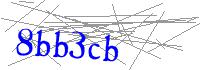 Visual Verification