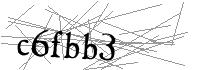Visual Verification