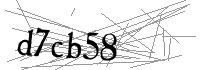 Visual Verification