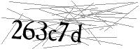 Visual Verification
