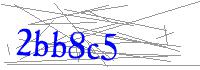 Visual Verification