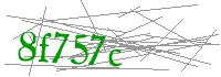 Visual Verification