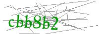 Visual Verification