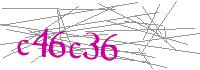 Visual Verification