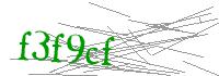 Visual Verification