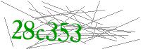 Visual Verification