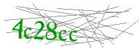 Visual Verification