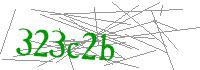 Visual Verification