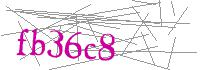 Visual Verification