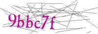 Visual Verification
