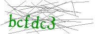 Visual Verification