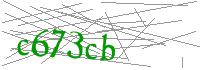 Visual Verification