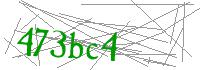Visual Verification