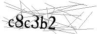 Visual Verification