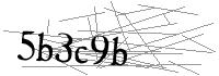 Visual Verification