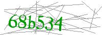 Visual Verification