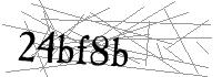 Visual Verification