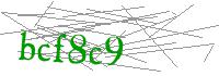 Visual Verification