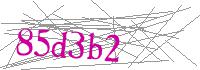 Visual Verification