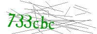 Visual Verification
