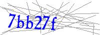 Visual Verification