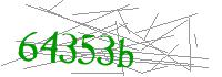 Visual Verification