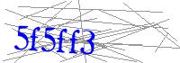 Visual Verification