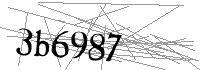 Visual Verification