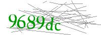 Visual Verification