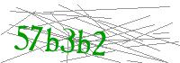 Visual Verification