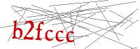 Visual Verification