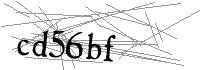 Visual Verification