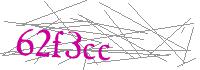 Visual Verification