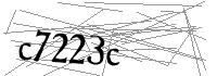 Visual Verification