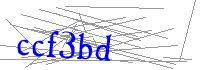 Visual Verification