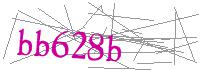 Visual Verification