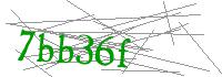 Visual Verification