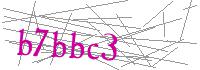 Visual Verification