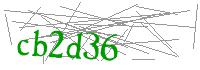 Visual Verification