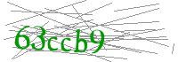 Visual Verification
