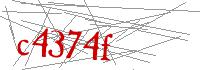 Visual Verification
