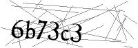 Visual Verification