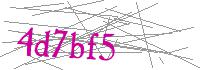 Visual Verification