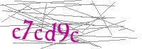 Visual Verification