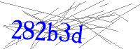 Visual Verification