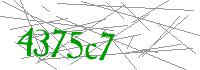 Visual Verification